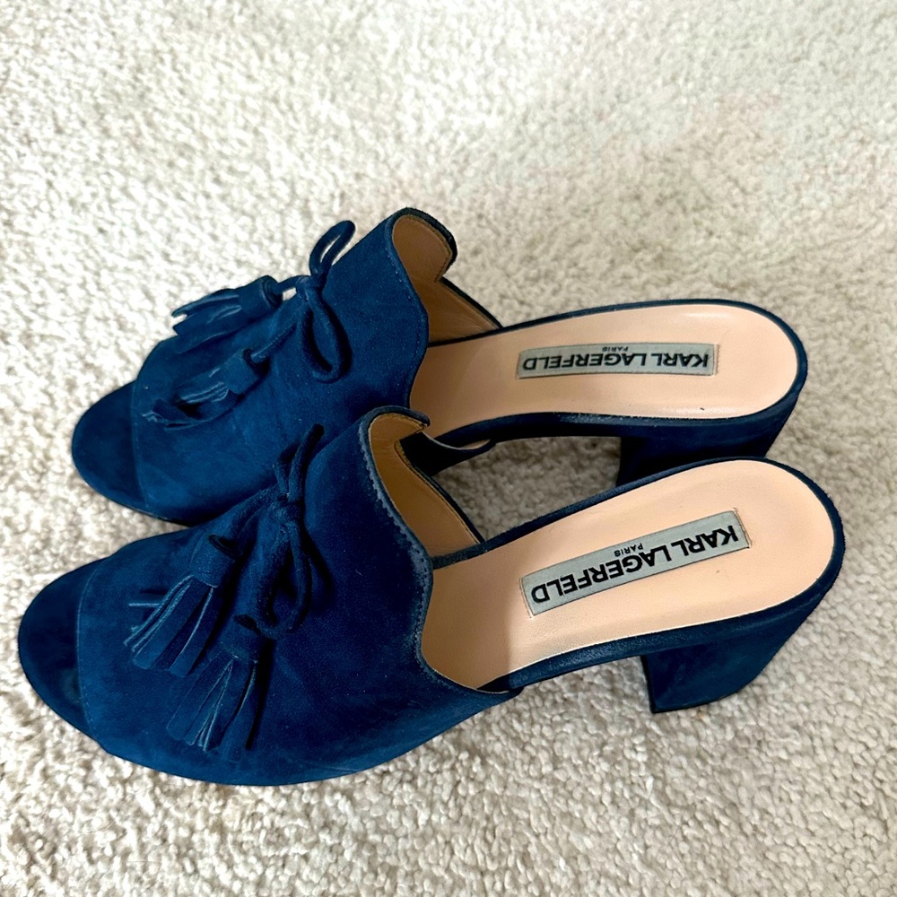 Open Toe Block Heels